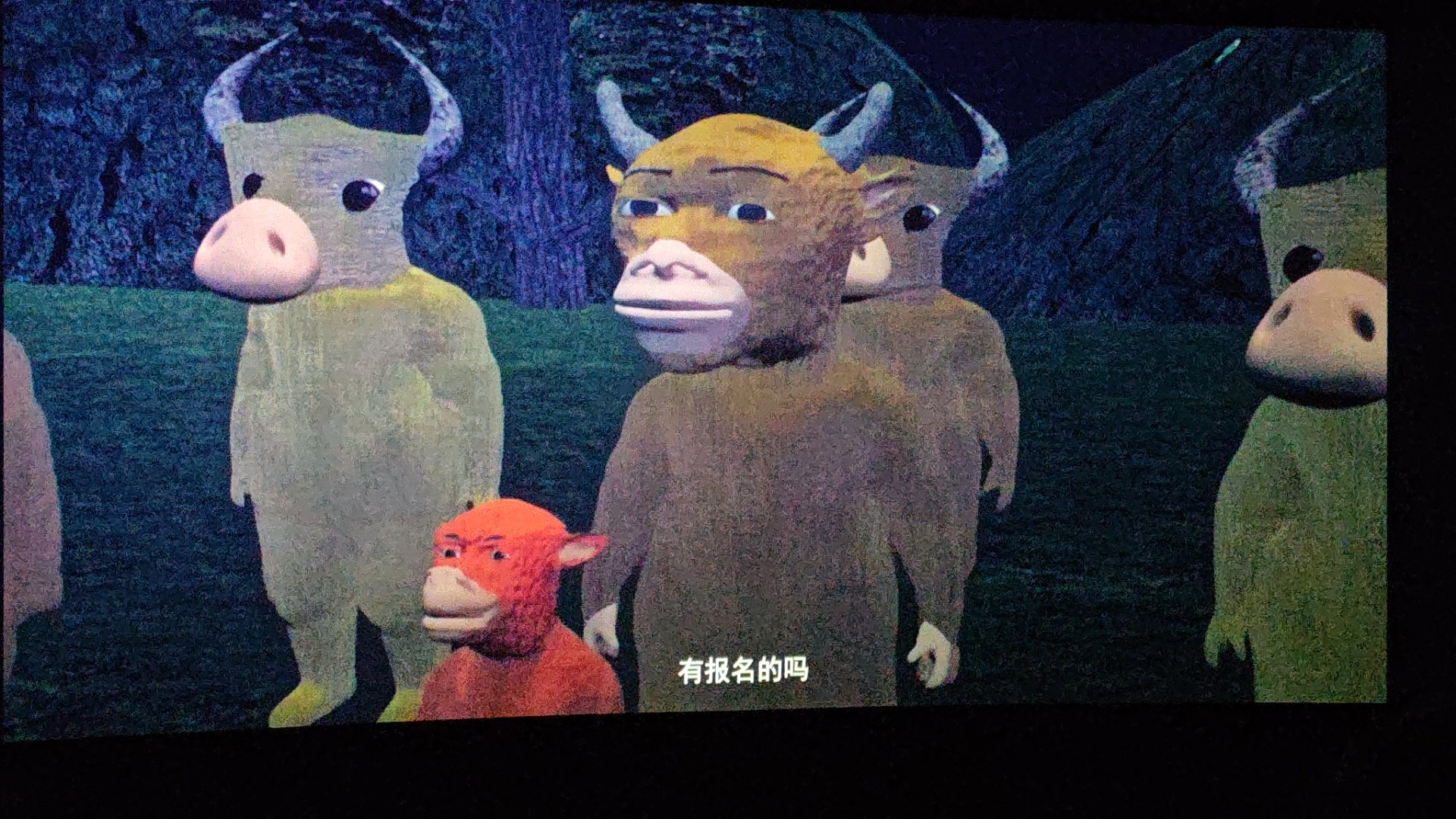 银幕实拍